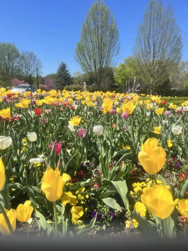 Hope Rising Residential