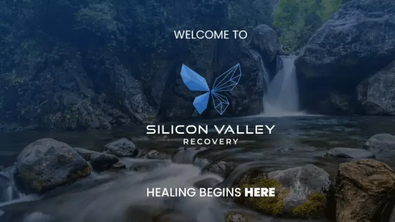 Silicon Valley Recovery