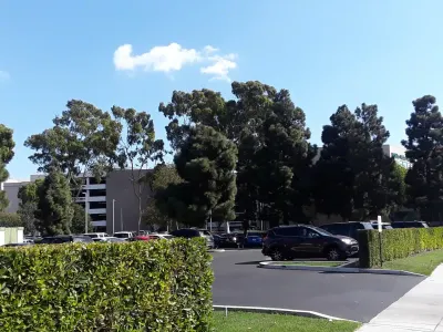 Thelma McMillen Recovery Center